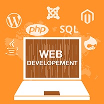 desarrollos web